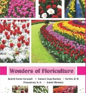 Wonders of Floriculture