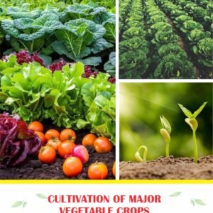 Cultivation of Major Vegetable Crops